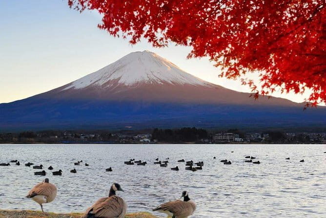 Mount Fuji & Lake Kawaguchi Group Day Tour from Tokyo - Exploring the Mount Fuji & Lake Kawaguchi Group Day Tour from Tokyo