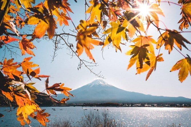 Mount Fuji & Lake Kawaguchi Group Day Tour from Tokyo - What the Tour Promises and What You Should Know