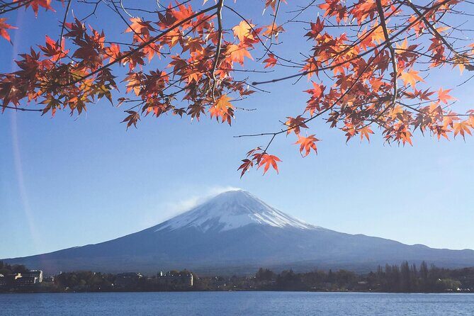 Mount Fuji (Mt. fuji) private tour by car with pickup from Tokyo - An In-Depth Look at the Tour Experience