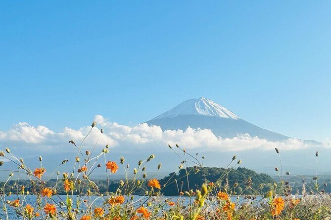 Mount Fuji One Day Private Customizable Tour With English Driver - A Detailed Look at the Mount Fuji Private Tour Experience