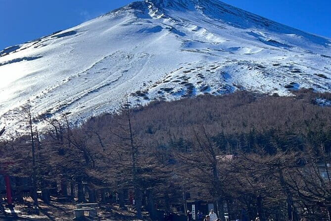 Mount Fuji private Day Tour with English Driver - Final Thoughts