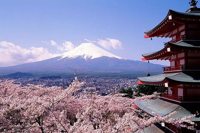Mount Fuji Private Day Tour With English Speaking Driver - What the Reviews Say About This Tour