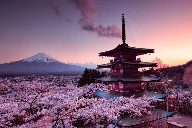 Mount Fuji Private Day Trip with English Speaking Guide - FAQs