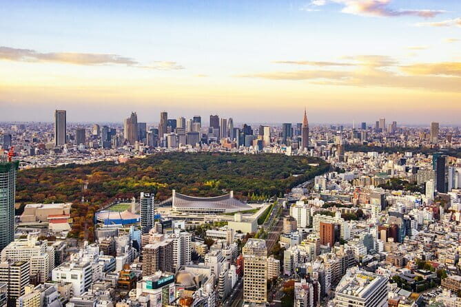 Mount Fuji Private Tour by English Pro Guide with Luxury Vehicle - Who Will Love This Tour?