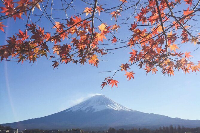 Mount Fuji Private Tour With English Speaking Driver - A Complete Look at the Mount Fuji Private Tour