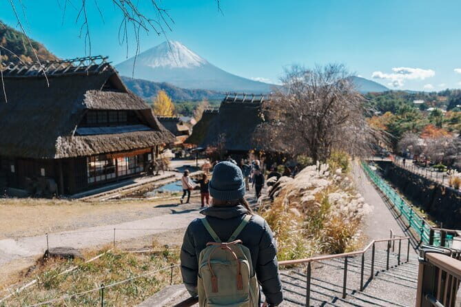 Mount Fuji Sightseeing Private tour w English speaking chauffeur - The Experience Breakdown: An In-Depth Look