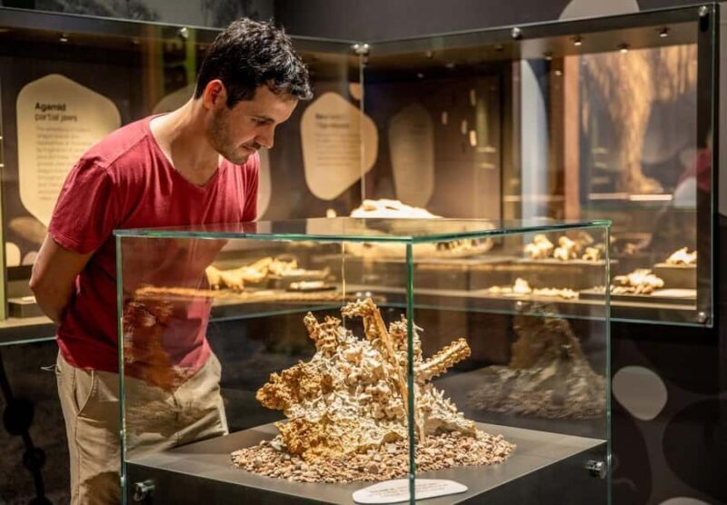 Mount Isa: Riversleigh Fossil Discovery Centre Guided Tour - The Value of the Experience