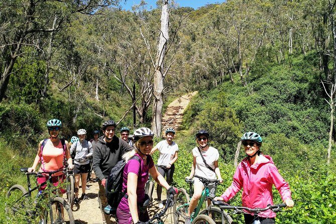 Mount Lofty Descent Bike Tour from Adelaide - An In-Depth Look at the Tour