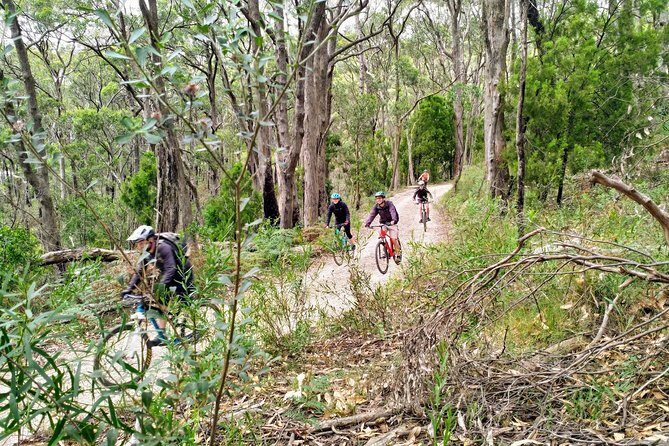 Mount Lofty Descent Bike Tour from Adelaide - Summing It Up