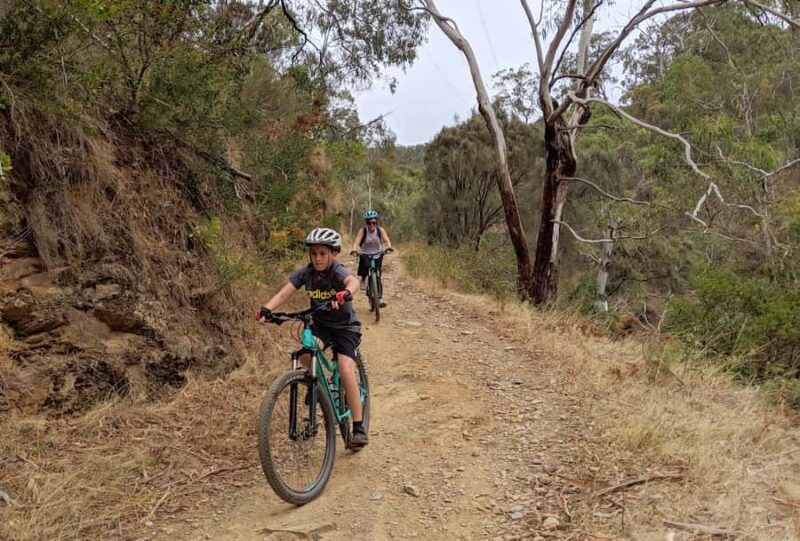 Mount Lofty Downhill Bike Tour & Cleland Wildlife Park Visit - Authentic Insights from Reviews