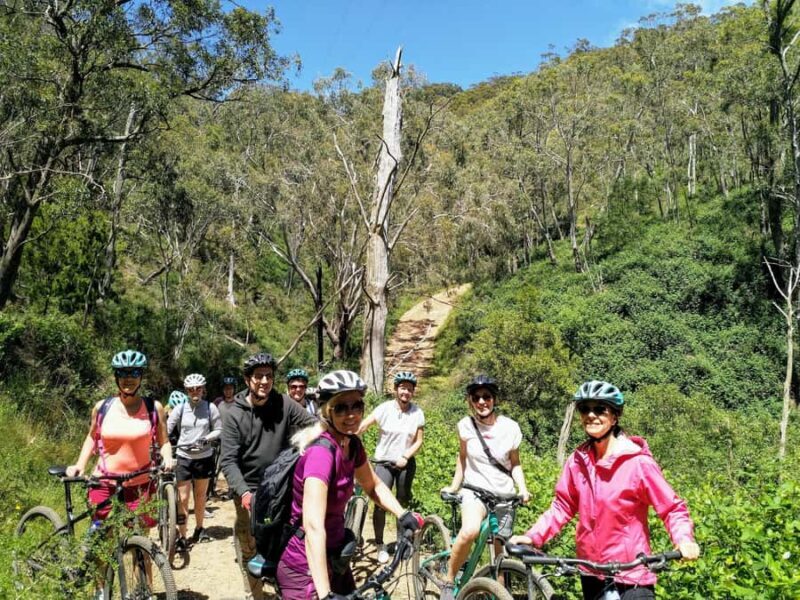 Mount Lofty Downhill Bike Tour & Cleland Wildlife Park Visit - FAQ
