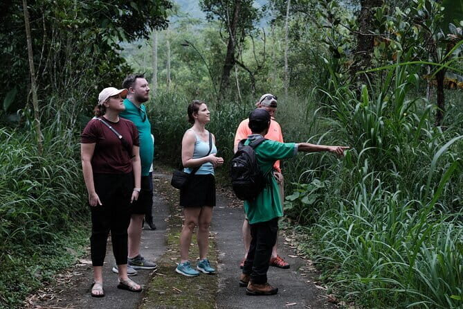 Mount Merapi: A Serene Soft Trek Through Botanic Villages Tour - An Overview of the Experience