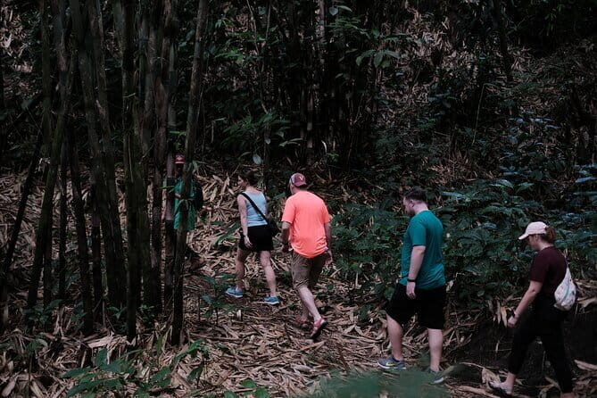 Mount Merapi: A Serene Soft Trek Through Botanic Villages Tour - Who Should Consider This Tour?