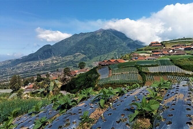 Mount Merbabu One Day Hiking Tour From Yogyakarta - An In-Depth Look at the Mount Merbabu One Day Hike