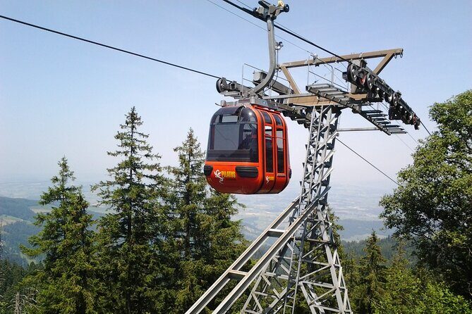 Mount Pilatus off-season Small Group Tour from Basel - Key Points