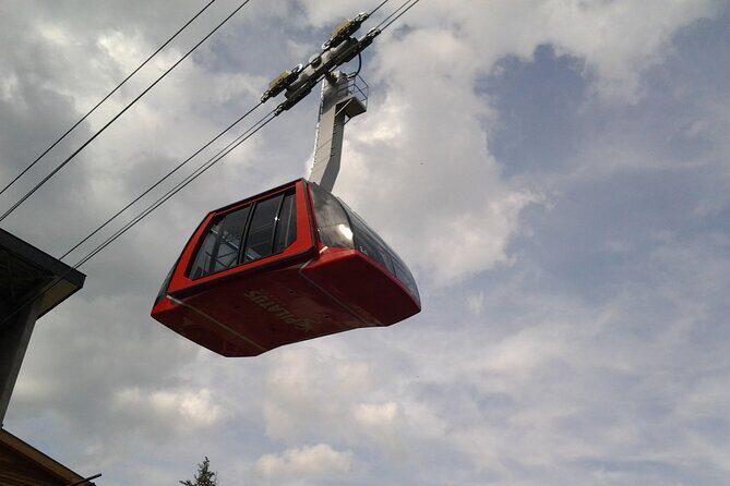 Mount Pilatus off-season Small Group Tour from Basel - Who Would Love This Tour?
