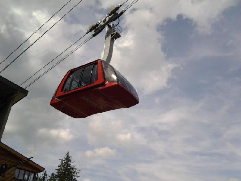 Mount Pilatus Small Group off-season Day Trip from Luzern - Final Thoughts