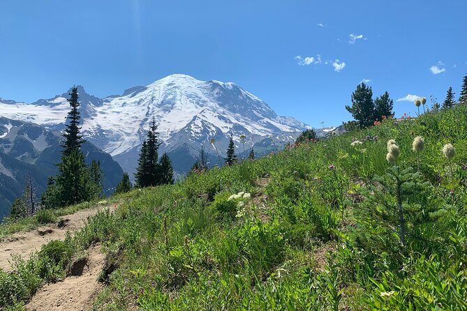 Mount Rainier Full Day Private Tour and Hike - Why This Tour Will Appeal to Many Travelers