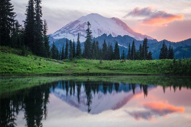 Mount Rainier Full Day Private Tour and Hike (Seattle) - Exploring the Mount Rainier Full Day Private Tour and Hike (Seattle)