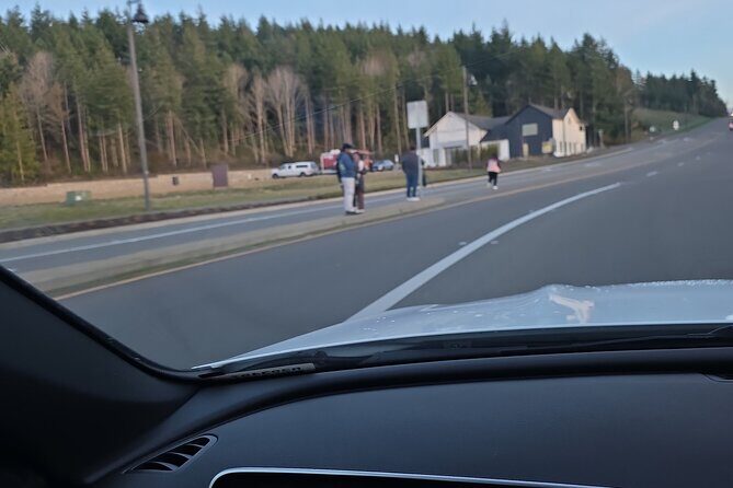 Mount Rainier Photo Tour with Private Sprinter Transport - Authentic Feedback and What Travelers Say