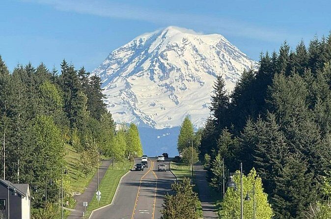 Mount Rainier Photo Tour with Private Sprinter Transport - Final Thoughts: Who Is This Tour For?