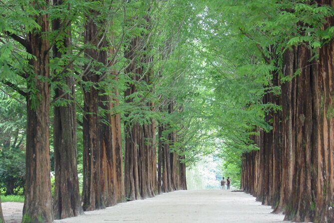 Mount Seorak and Nami Island One Day Tour from Seoul - Who Should Book This Tour?