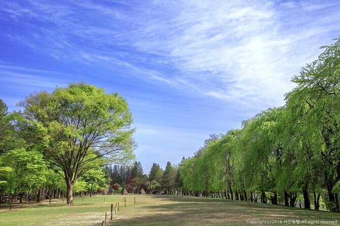 Mount Seorak and Nami Island One Day Tour from Seoul - The Sum Up: Is This Tour Right for You?