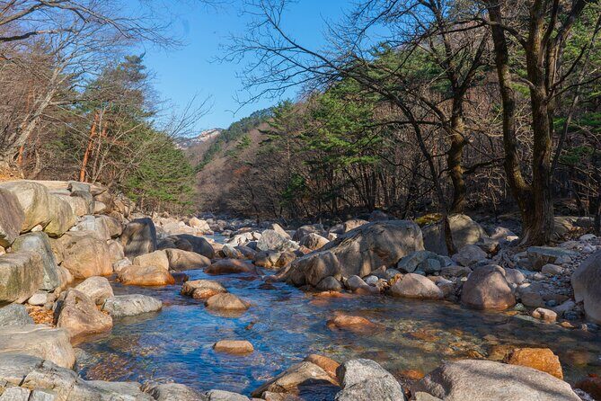 Mount Seorak and Nami Island One Day Tour from Seoul - FAQ