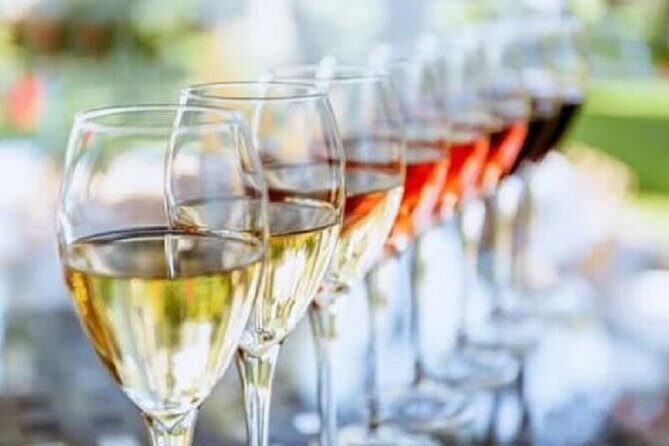 Mount Tamborine Deluxe Wine Tasting with Two Course Lunch - A Detailed Look at the Tour Experience