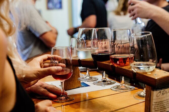 Mount Tamborine Winery Tour with Gourmet lunch - Who Will Love This Tour?