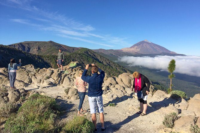 Mount Teide and Tenerife North with Food & Wine Tasting Private Tour - Who Is This Tour Best For?
