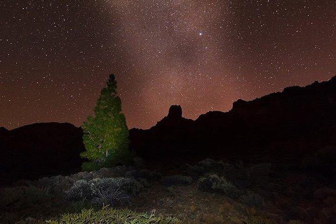 Mount Teide Night Tour: Stargazing, Dinner and Hotel Pick up - Authentic Experiences and Highlights from Reviews