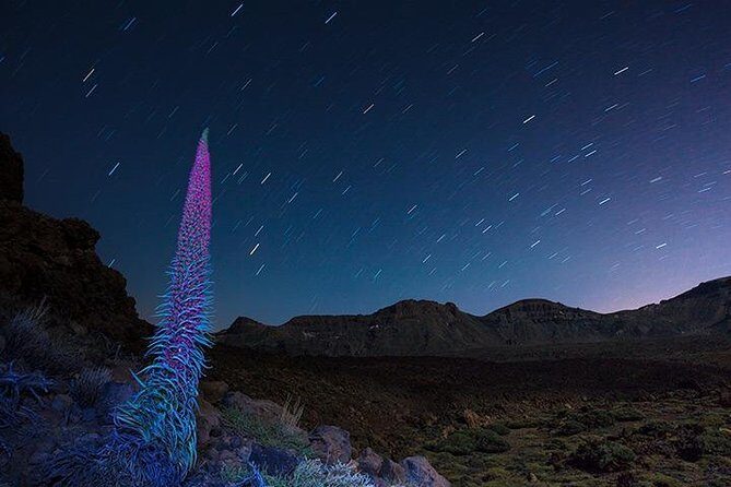 Mount Teide Night Tour: Stargazing, Dinner and Hotel Pick up - Who Should Book This Tour?
