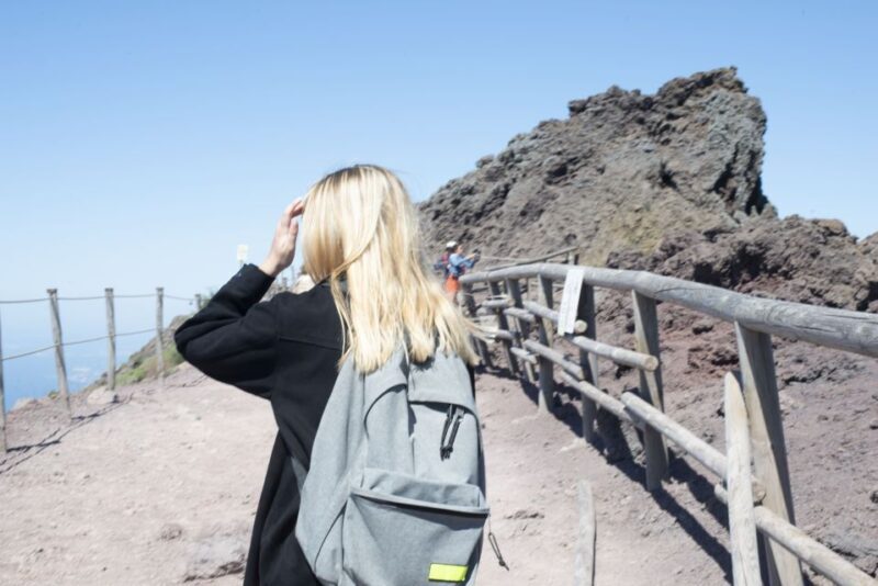 Mount Vesuvius: Skip-the-Line Ticket and Audio Guide - What to Expect from Your Mount Vesuvius Visit