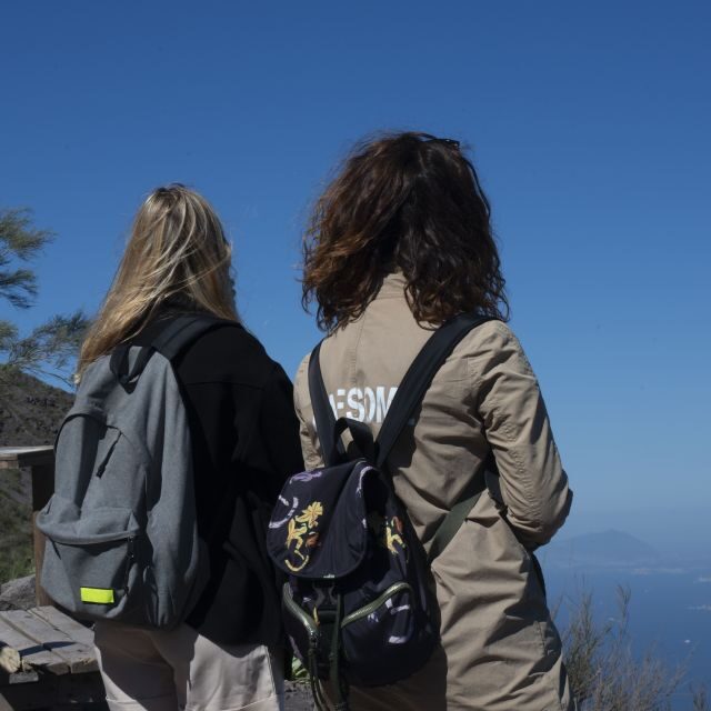 Mount Vesuvius: Skip-the-Line Ticket and Audio Guide - The Audio Guide and Educational Insights