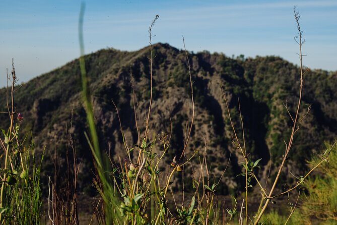 Mount Vesuvius Skip the Line Ticket + Multilingual Audio Guide - Frequently Asked Questions