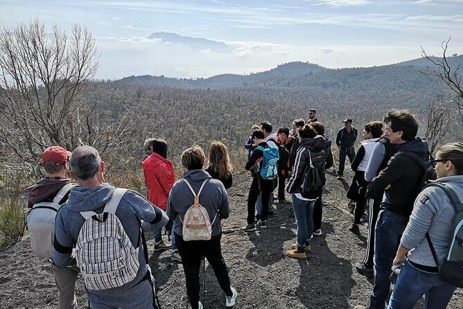 Mount Vesuvius tour by bus and ticket included from Ercolano - The Itinerary: What to Expect