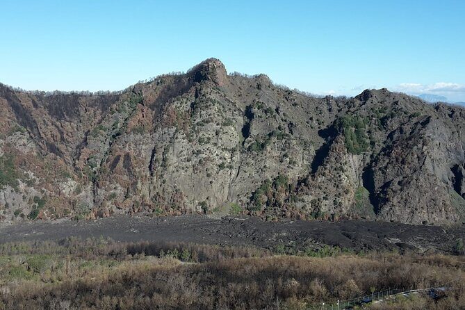 Mount Vesuvius tour by bus and ticket included from Ercolano - Who Should Book This Tour?