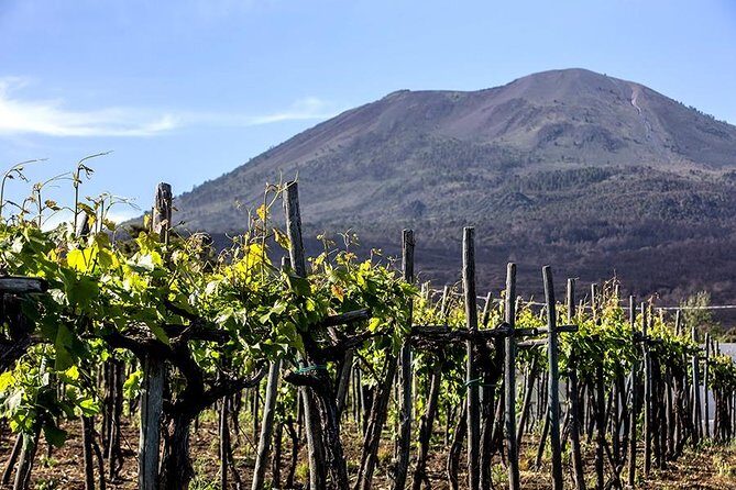 Mount Vesuvius & Wine Tasting with Lunch Private Tour - FAQs