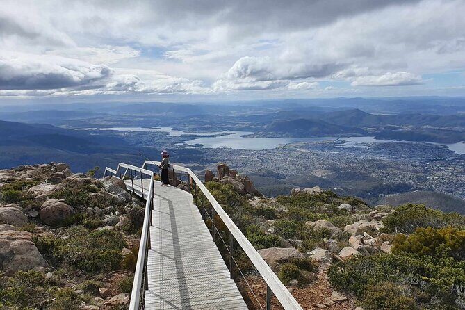 Mount Wellington Pinnacle 2 Hours Small Group Tour - The Sum Up
