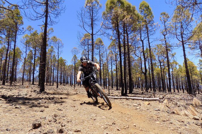 Mountain bike excursions - Mountain Bike Excursions in Gran Canaria: An In-Depth Look