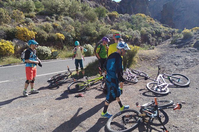 Mountain bike excursions - The Sum Up