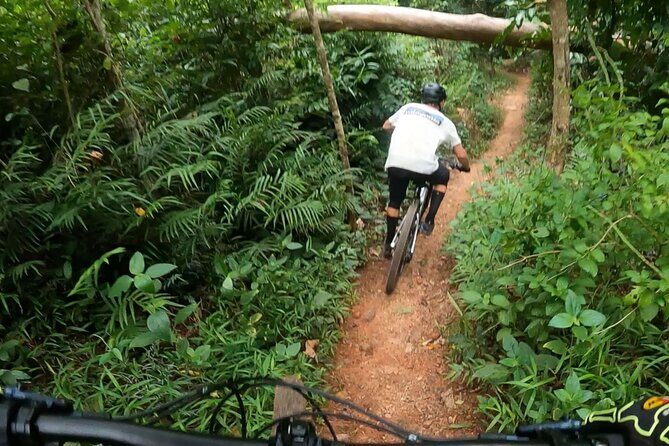 Mountain Bike Tour - Cairns - What Makes This Tour Stand Out?