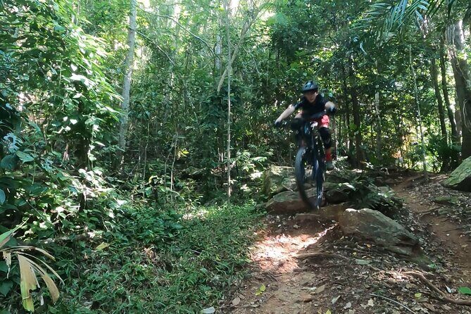 Mountain Bike Tour - Cairns - The Reviews: Authentic Feedback