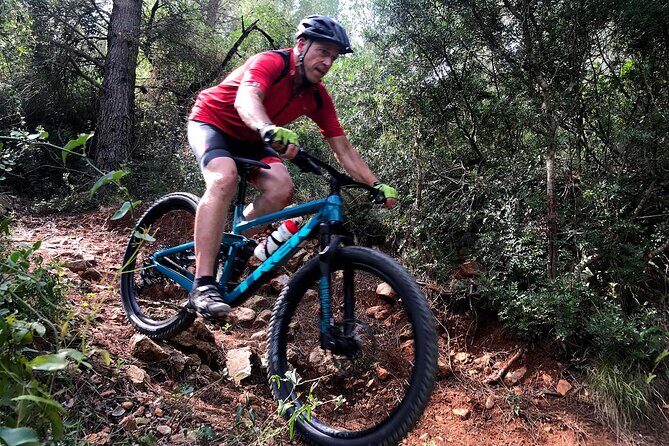 Mountain Bike Tour Font de la Mata - Authentic Reviews and Real Insights