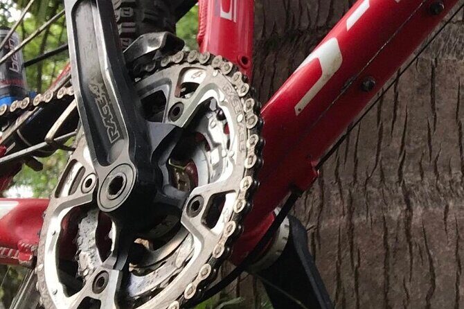 Mountain Bike Tours - The Value in the Price