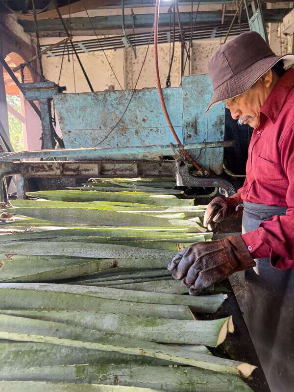 Mountain Biking in the Mayan Jungle / Visit Cenotes / Hacienda - An In-Depth Look at the Tour