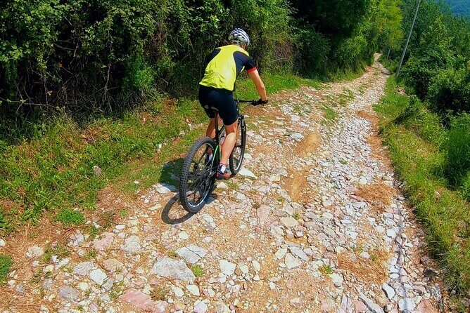 Mountain Biking on Vrmac peninsula - Panoramic view on Kotor bay - Exploring the Vrmac Peninsula: An Off-Road Adventure with a View
