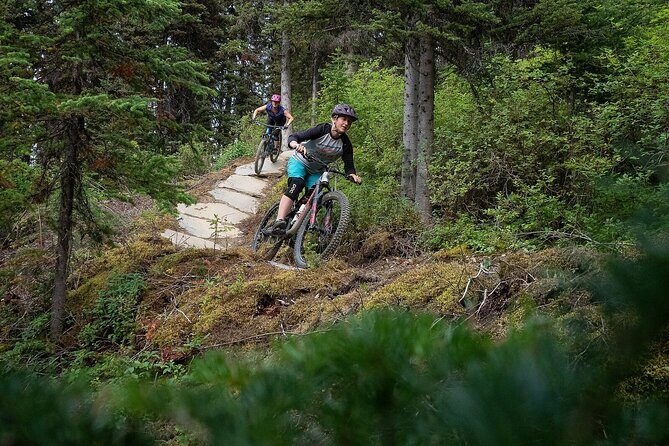 Mountain E Bike Adventure and Beer Tasting Lunch - The Sum Up