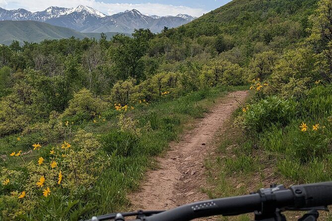 Mountain eBike Tour - A Close Look at the Tour Experience